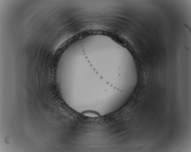 X0000103230775200809111529