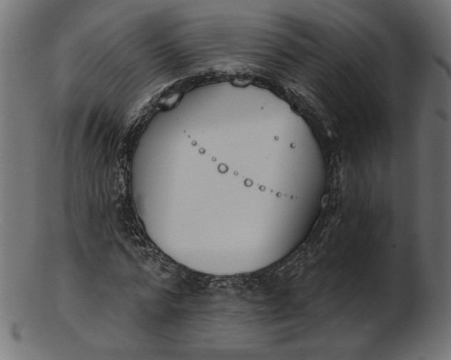 X0000103230776200809111529