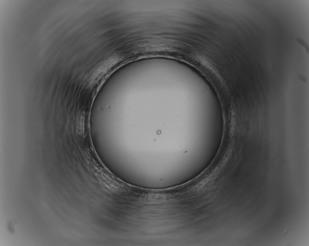 X0000103230777200809111529