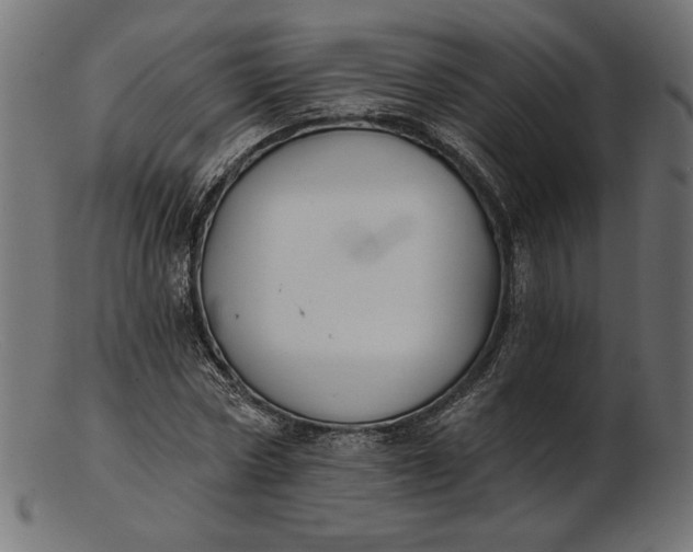 X0000103230778200809111529