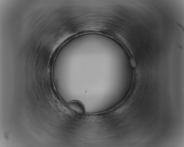 X0000103230779200809111529