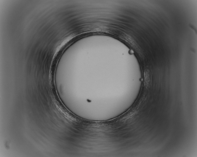 X0000103230780200809111529