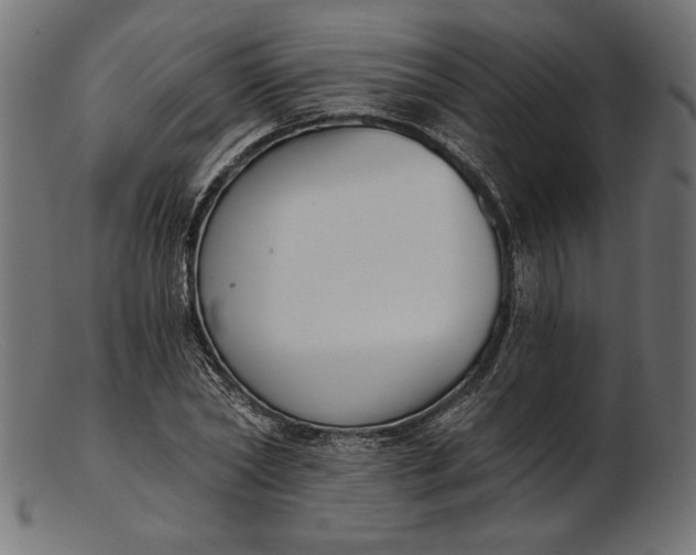 X0000103230782200809111529