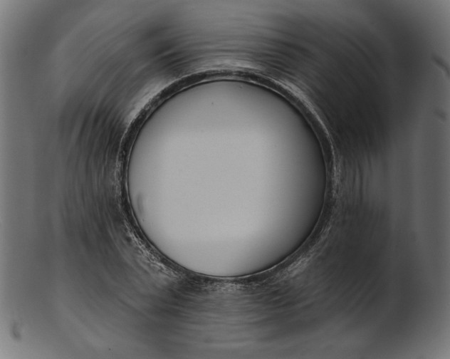 X0000103230783200809111529