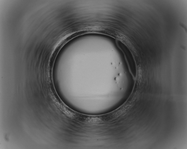 X0000103230784200809111529