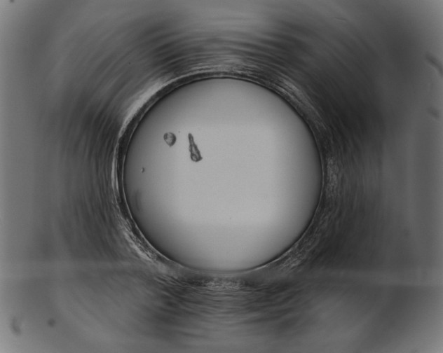 X0000103230788200809111529