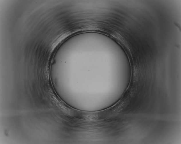 X0000103230789200809111529
