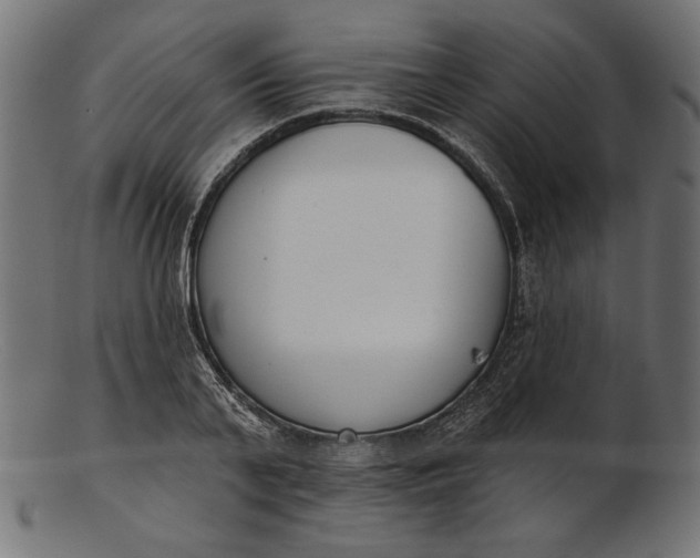 X0000103230791200809111529
