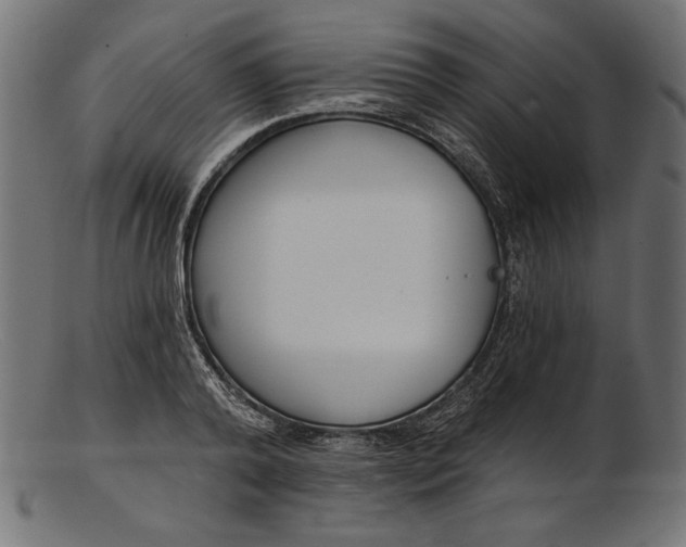 X0000103230792200809111529