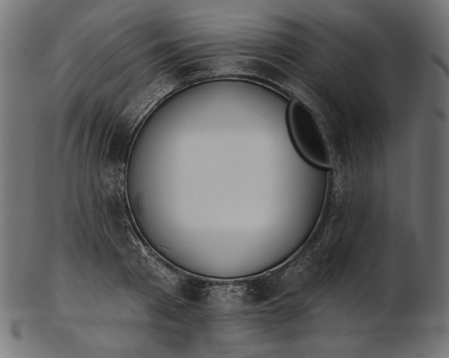 X0000103230793200809111529