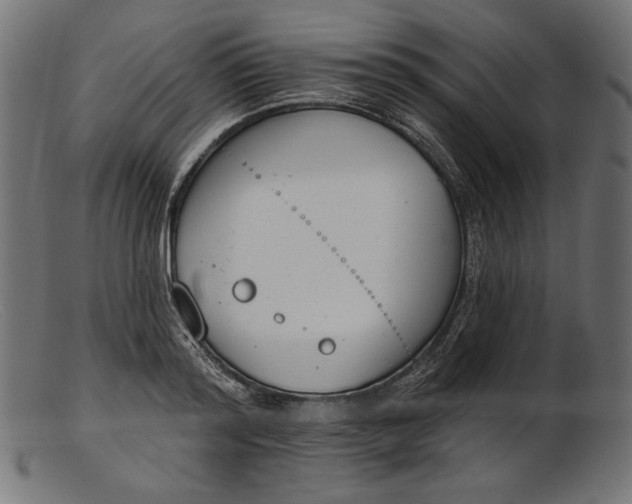 X0000103230796200809111529