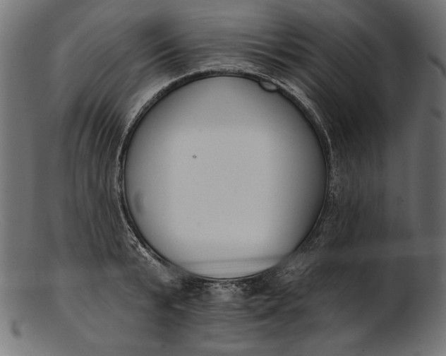 X0000103230799200809111529