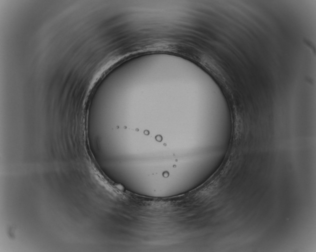 X0000103230800200809111529