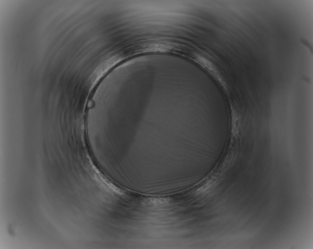 X0000103230802200809111529