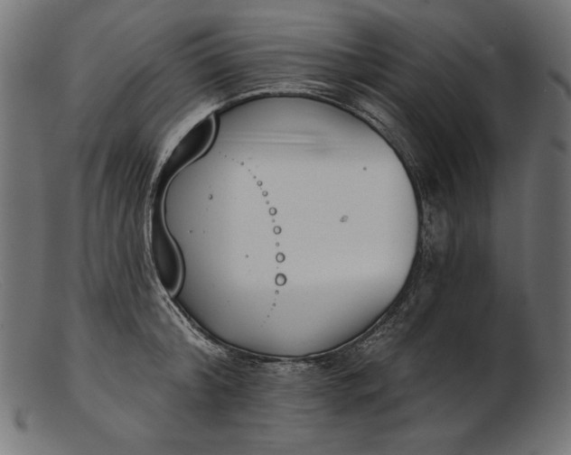X0000103230804200809111529
