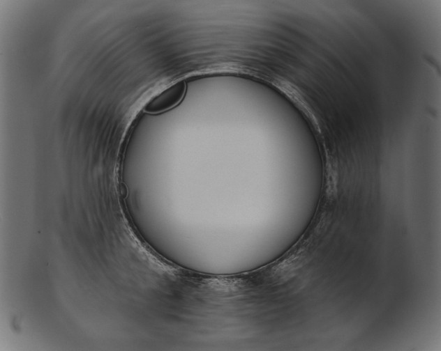 X0000103230805200809111529
