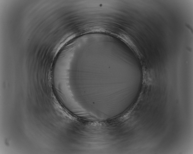 X0000103230806200809111529