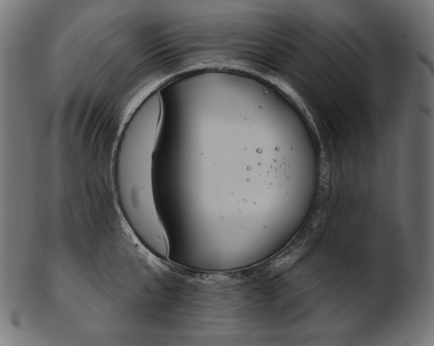 X0000103230807200809111529