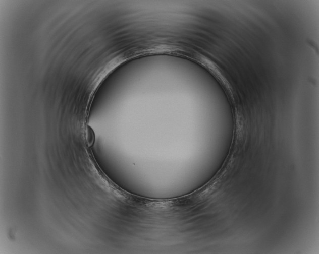X0000103230810200809111528
