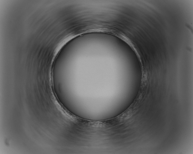 X0000103230811200809111528