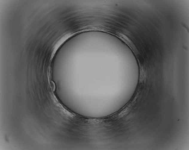 X0000103230812200809111528