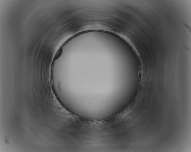 X0000103230815200809111528