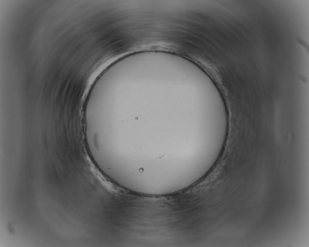 X0000103230816200809111528