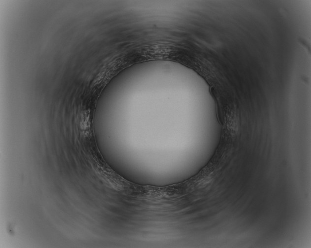 X0000103230818200809111528