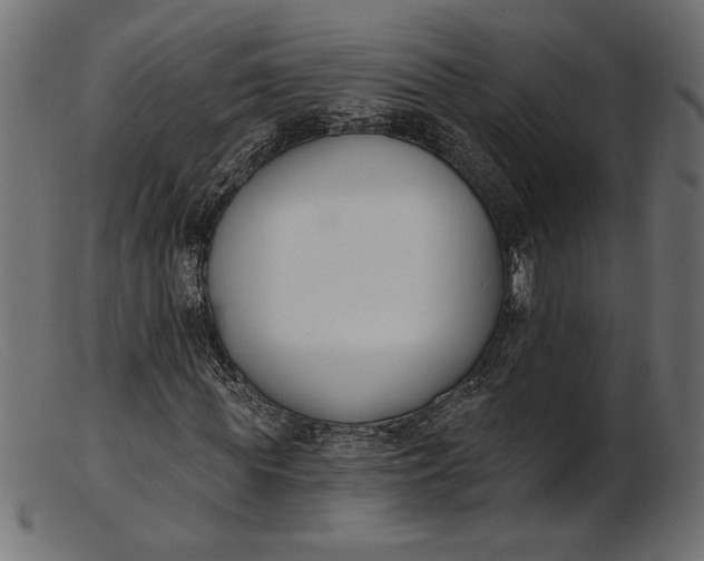 X0000103230819200809111528