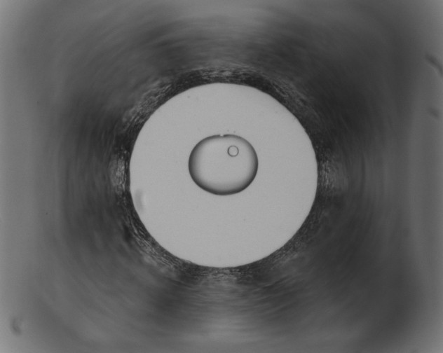X0000103230820200809111528