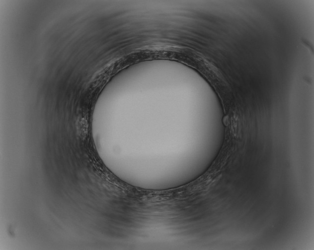 X0000103230821200809111528