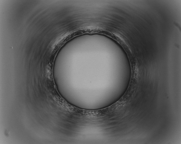 X0000103230823200809111528