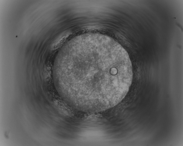 X0000103230824200809111528