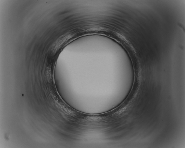 X0000103230825200809111528