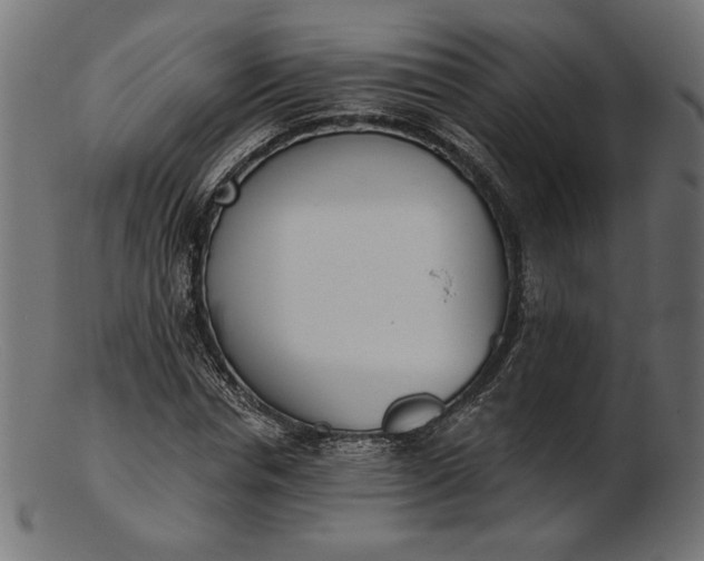 X0000103230826200809111528