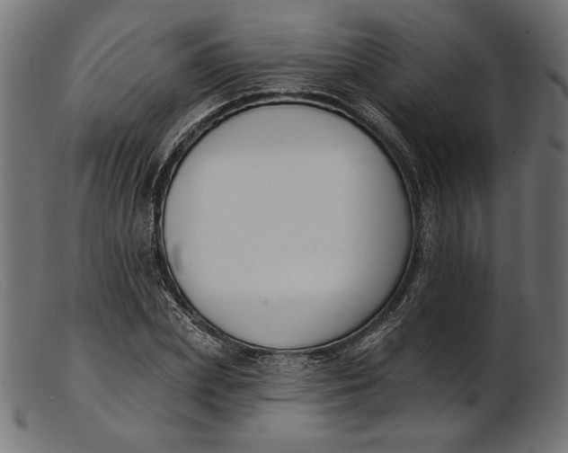 X0000103230831200809111528