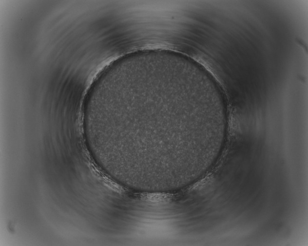 X0000103230832200809111528