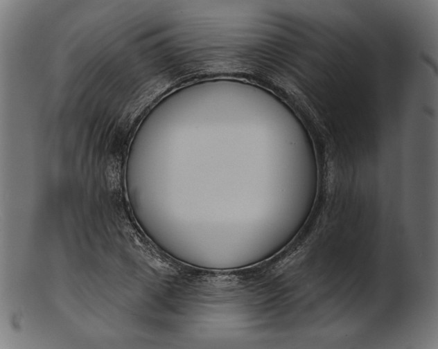 X0000103230833200809111528