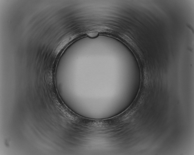X0000103230834200809111528