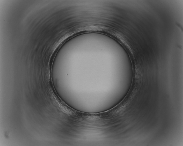 X0000103230837200809111528