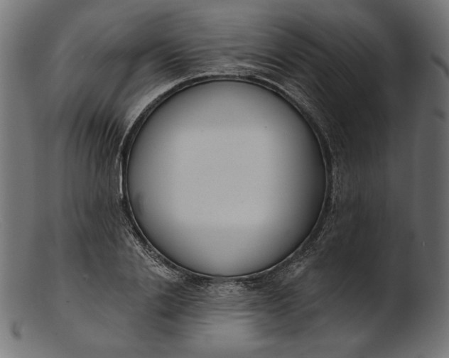 X0000103230838200809111528
