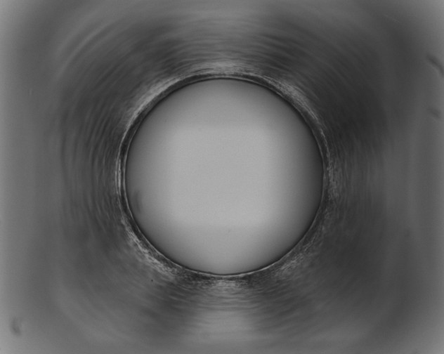 X0000103230839200809111528
