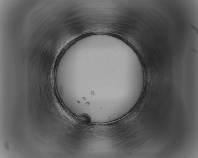 X0000103230840200809111528