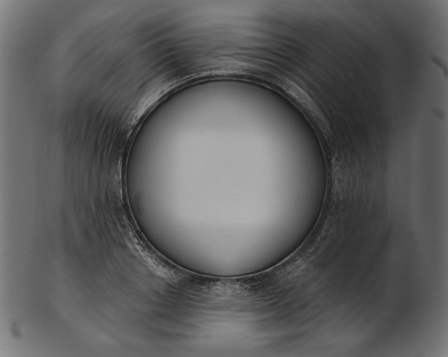 X0000103230842200809111528