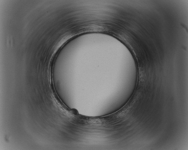 X0000103230843200809111528