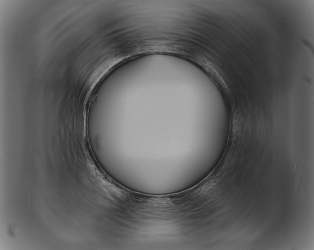 X0000103230844200809111528
