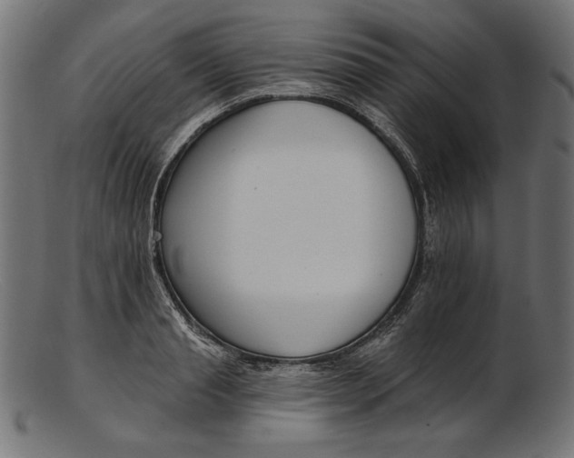 X0000103230845200809111528