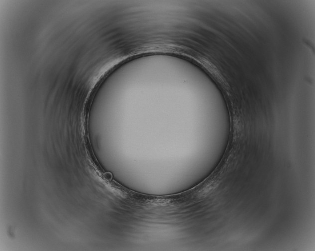 X0000103230846200809111528