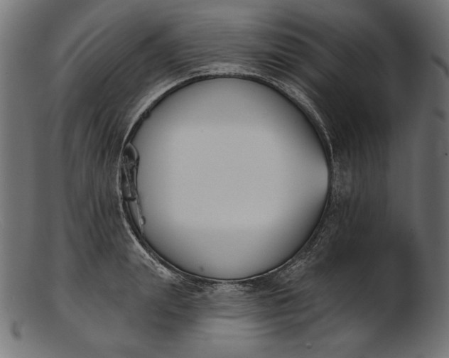 X0000103230847200809111528