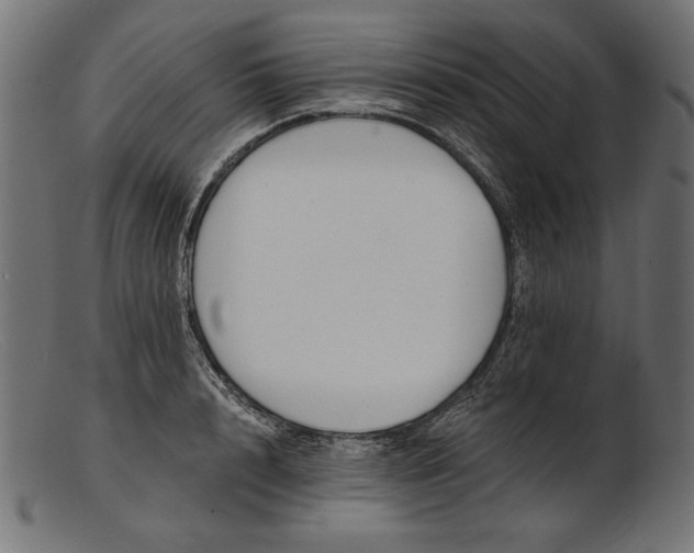 X0000103230848200809111528